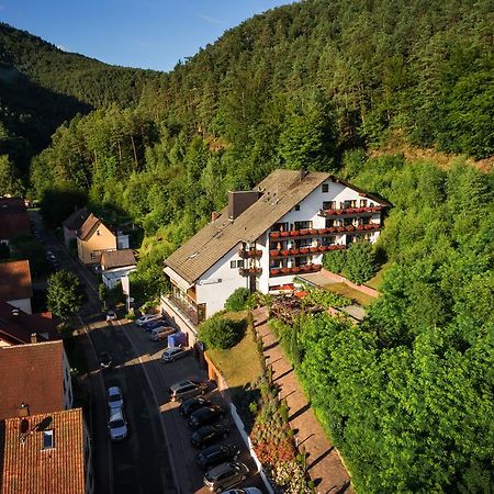 Hotel Die Kleine Blume Erfweiler Kültér fotó