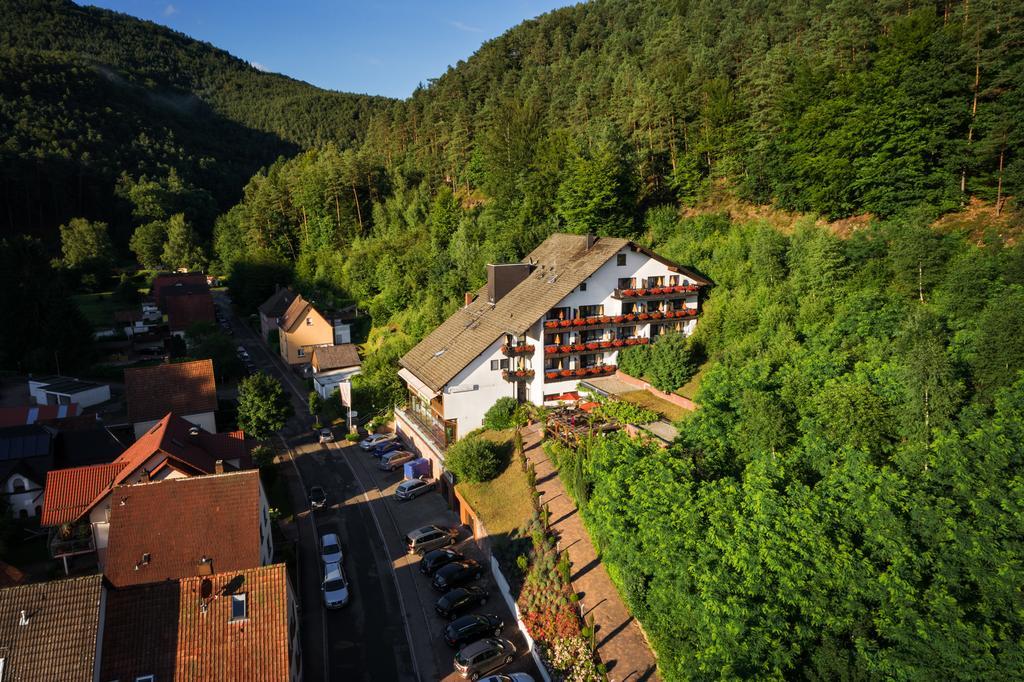 Hotel Die Kleine Blume Erfweiler Kültér fotó