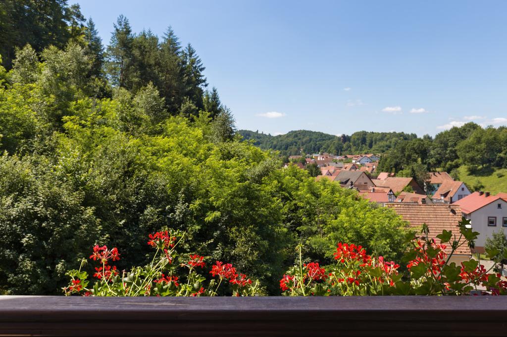 Hotel Die Kleine Blume Erfweiler Kültér fotó