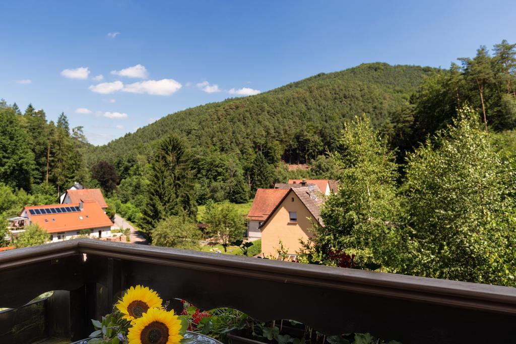 Hotel Die Kleine Blume Erfweiler Kültér fotó